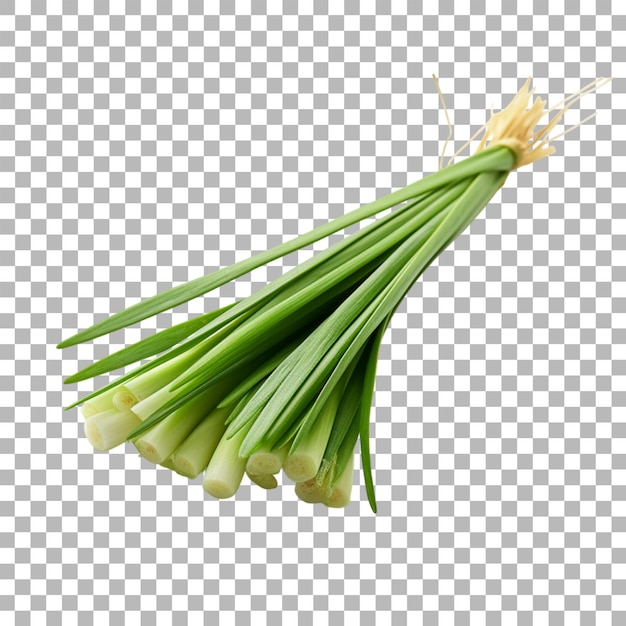 lemongrass on transparent background
