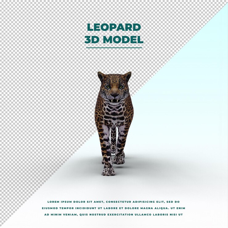 PSD leopardo aislado