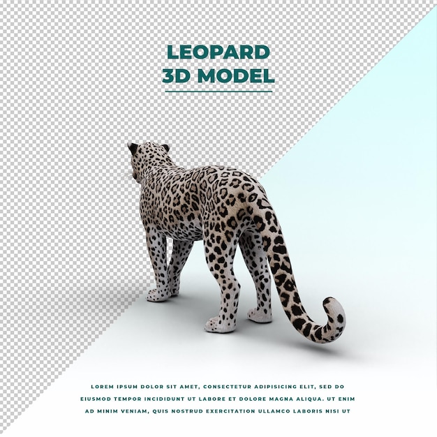 PSD leopardo