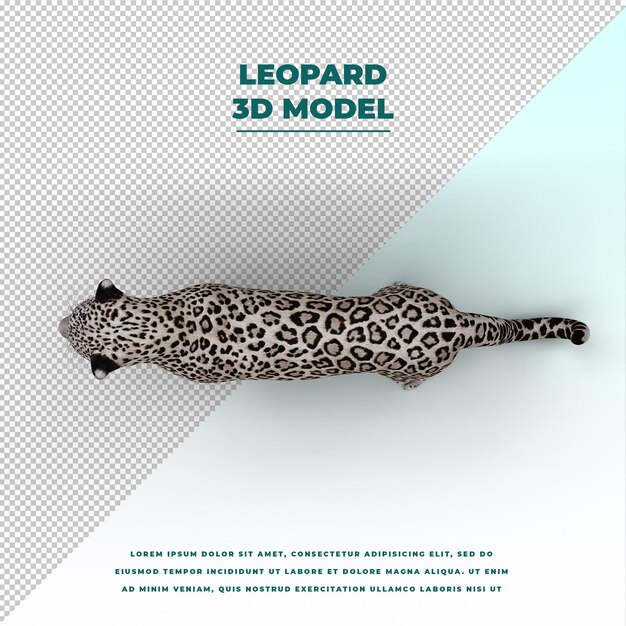 PSD leopardo