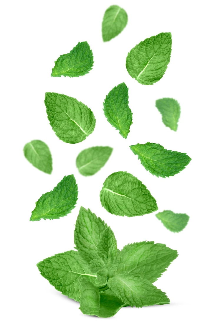 PSD levitazione di foglie di menta fresca isolate su sfondo bianco