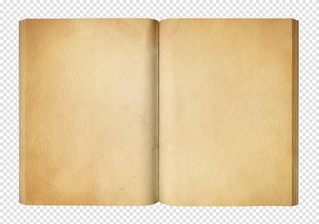 Libro aperto dell'annata isolato su priorità bassa bianca