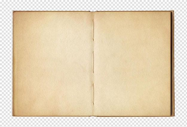 Libro aperto dell'annata isolato su priorità bassa bianca