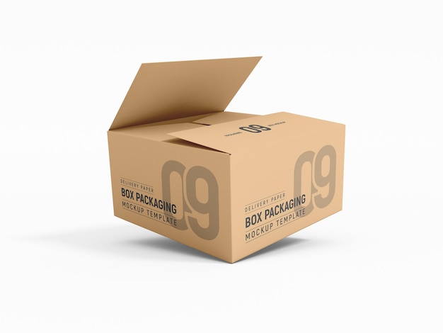 Lieferung Karton Verpackung Mockup