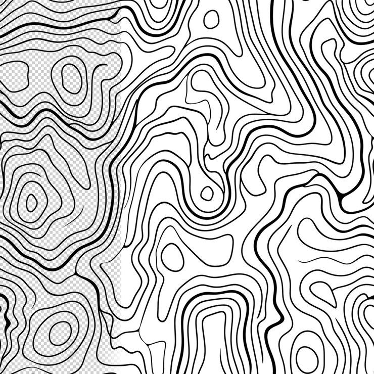 PSD lignes de contour fond transparent