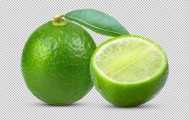 Limetten isoliert