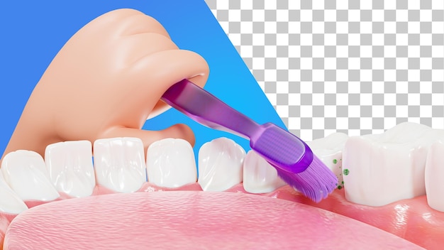 Limpieza dental higiene bucal 3d Render Técnica de limpieza dental Dientes humanos con un cepillo de dientes