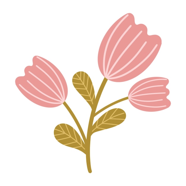 La linda flor del tulipán