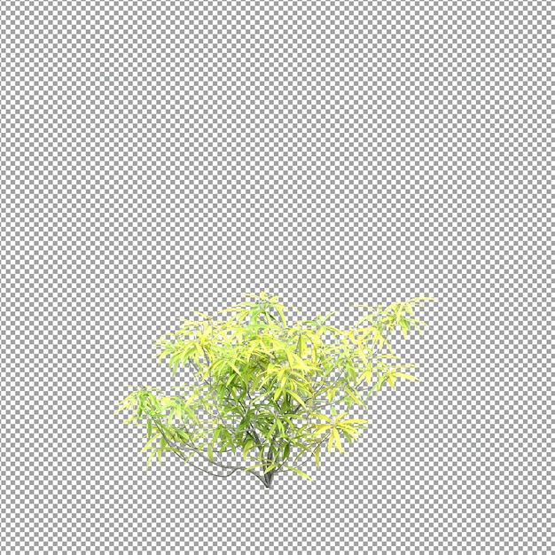 Linda planta em renderização 3d isolada