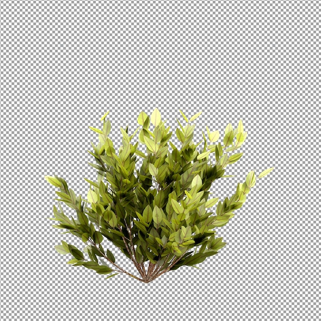 PSD linda planta em renderização 3d isolada