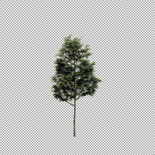 Linda planta em renderização 3d isolada
