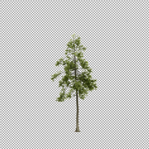 Linda planta em renderização 3d isolada