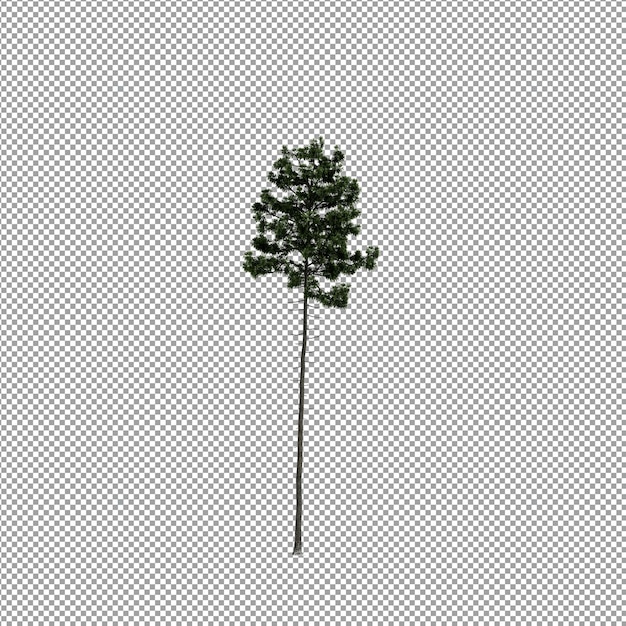 Linda planta em renderização 3d isolada