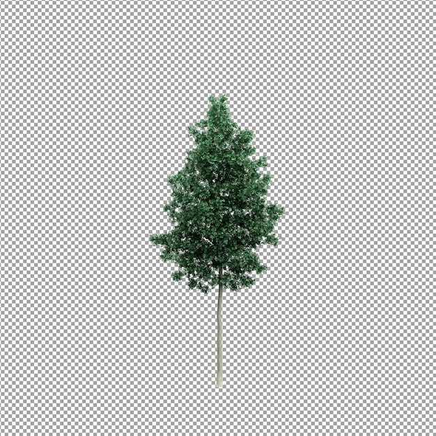 Linda planta em renderização 3d isolada