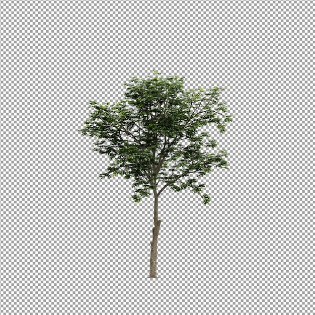 Linda planta em renderização 3d isolada