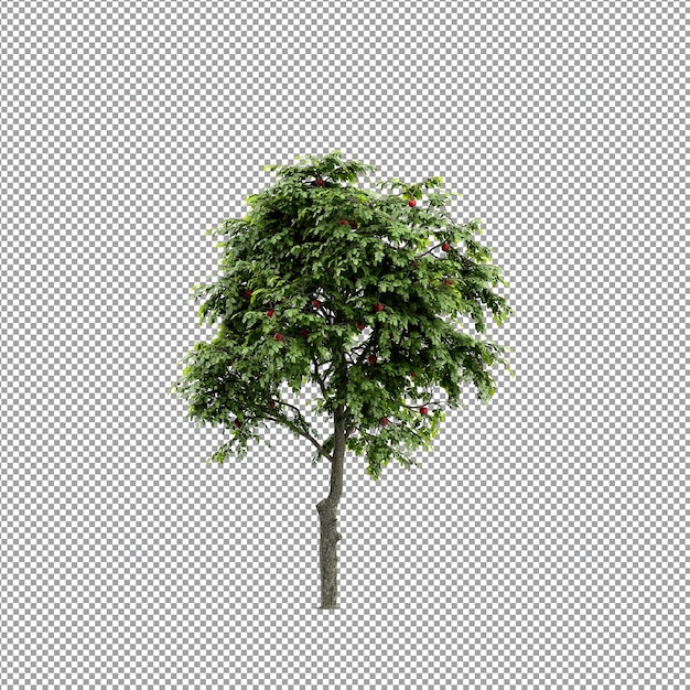 Linda planta em renderização 3d isolada