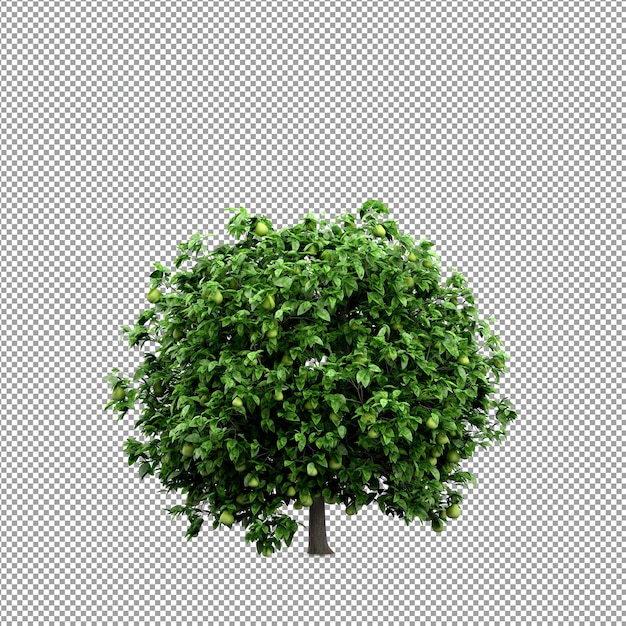 Linda planta em renderização 3d isolada