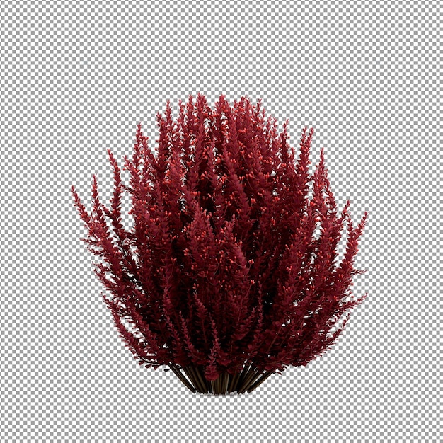 Linda planta em renderização 3d isolada