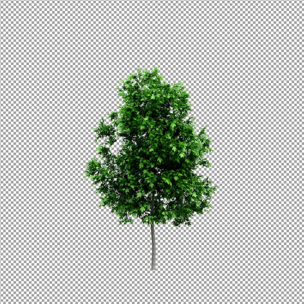 Linda planta em renderização 3d isolada