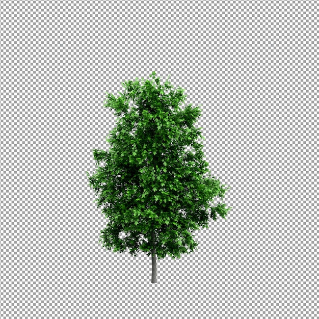 Linda planta em renderização 3d isolada