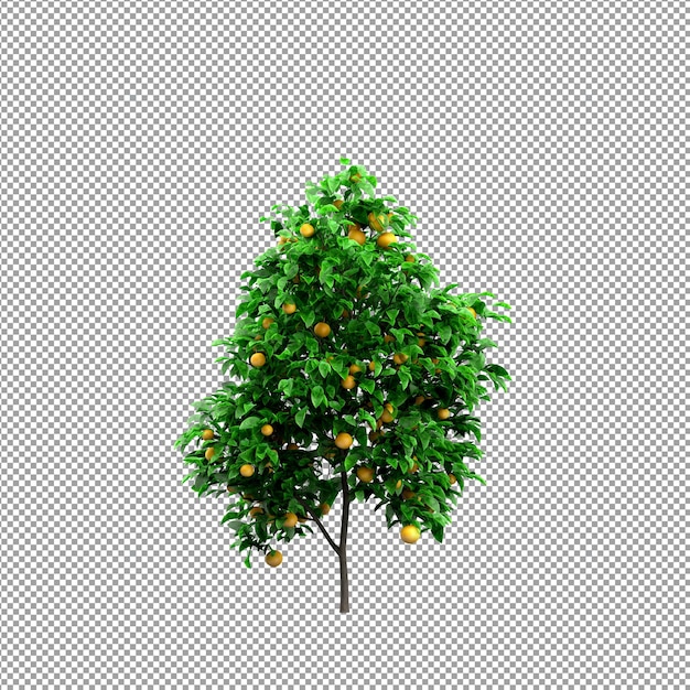 Linda planta em renderização 3d isolada