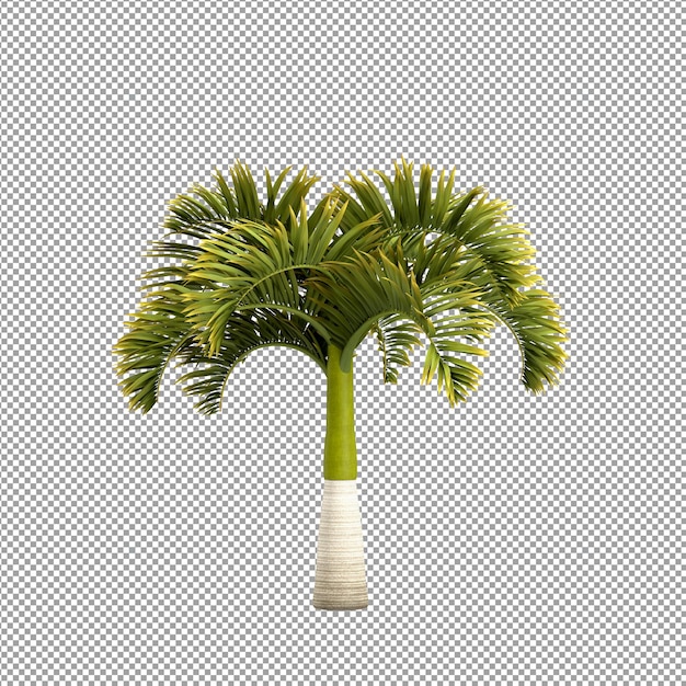 Linda planta em renderização 3d isolada