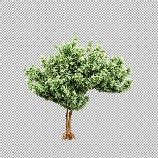 Linda planta em renderização 3d isolada