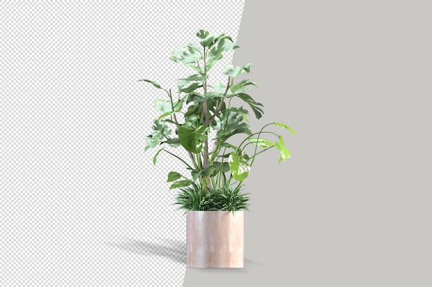 Linda planta em vaso em renderização 3d isolada