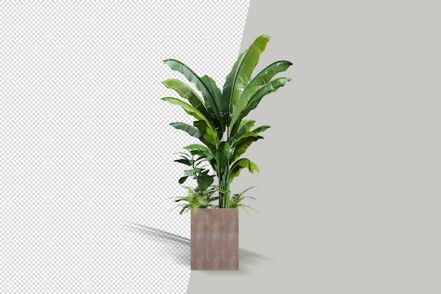 Linda planta em vaso em renderização 3d isolada