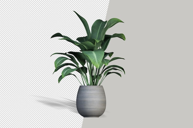 PSD linda planta em vaso renderização em 3d