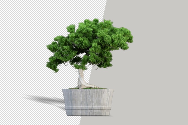 PSD linda planta em vaso renderização em 3d