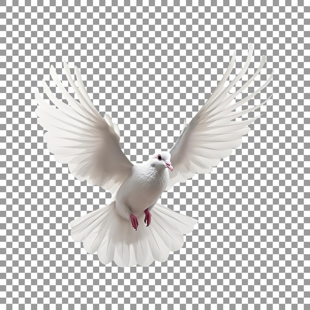 PSD linda pomba voadora isolada em um fundo transparente