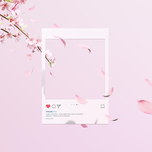 PSD linda primavera, fundo de flor de cerejeira com fundo rosa
