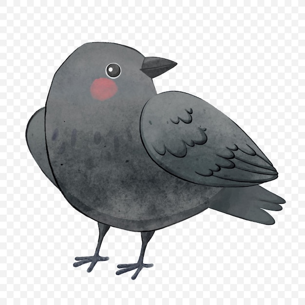 Lindo cuervo negro dibujo animado pájaro negro acuarela ilustración pegatinas de animales personajes infantiles