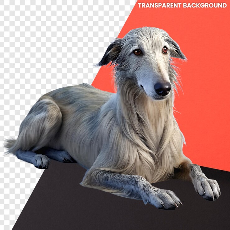 PSD lindo dibujos animados en 3d para adultos deerhound escocés mintiendo fondo transparente