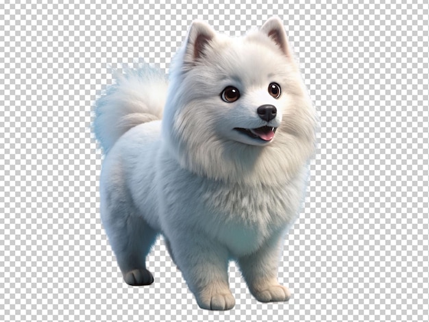 PSD el lindo samoyedo blanco