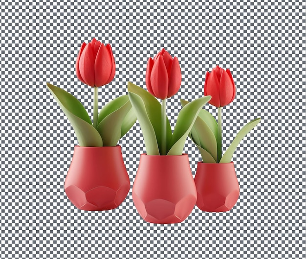 Lindos portadores de vasos de plantas em forma de tulipa isolados em fundo transparente