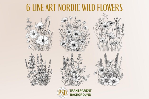 PSD line art nordic wild flowers est une série de six dessins de fleurs différents