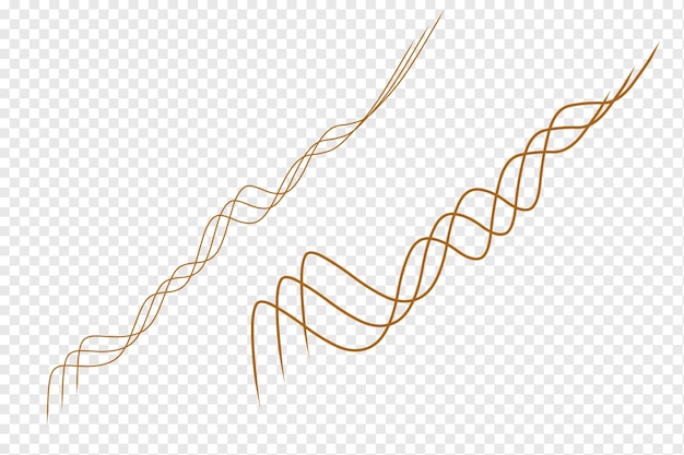 linee dorate su uno sfondo trasparente