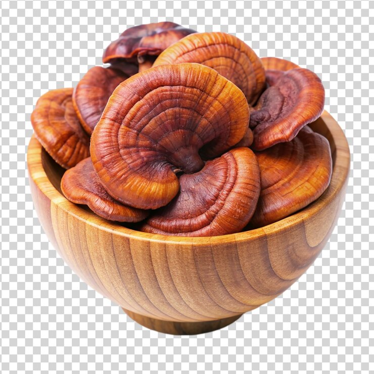 PSD lingzhi o hongo reishi en un cuenco de madera aislado sobre un fondo blanco