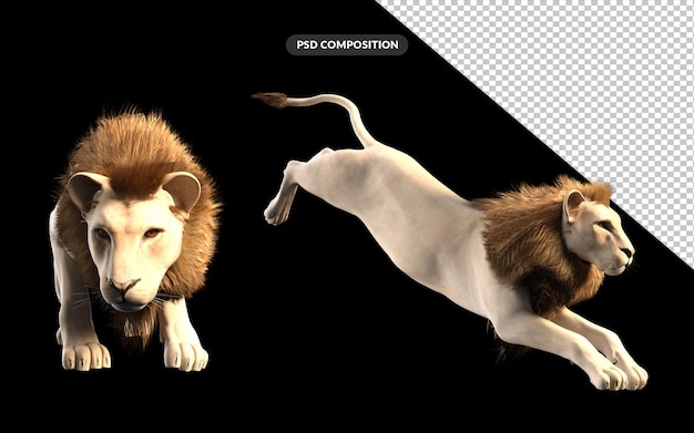 PSD lion 3d illustration rendu psd