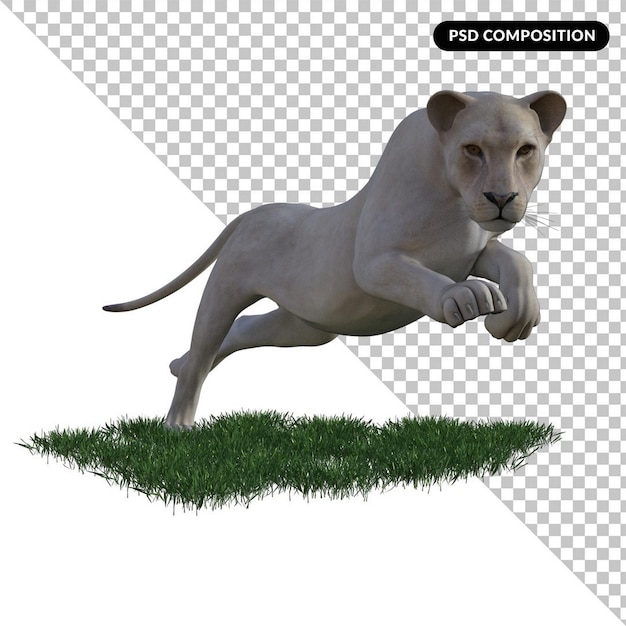 Lion Blanc Isolé En 3d