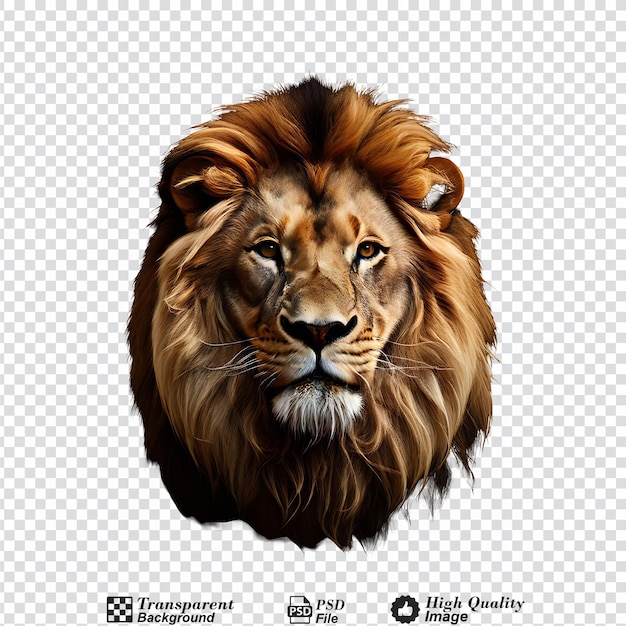 PSD lion isolé sur un fond transparent