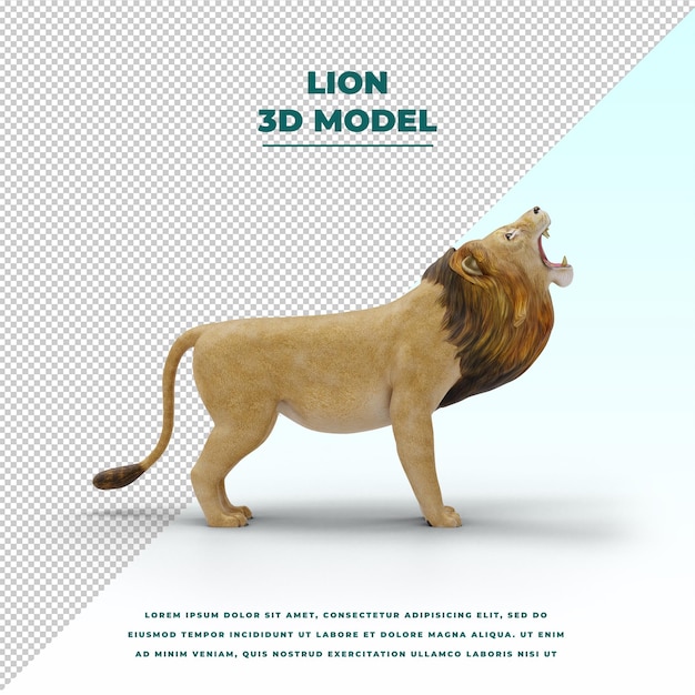 lion isolé