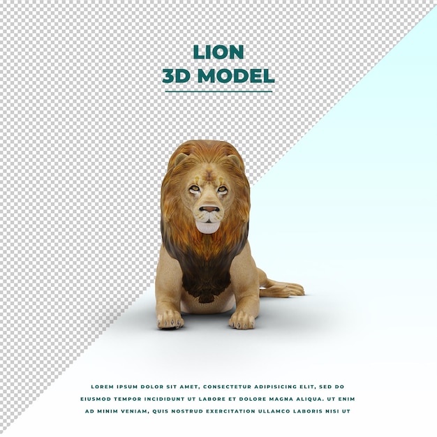 lion isolé
