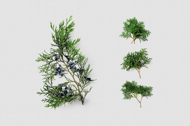 PSD little movable evergreen branches 3d objects