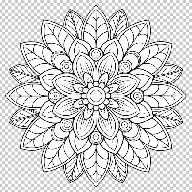 Livre à colorier pour enfants fleurs belles contourner le motif floral