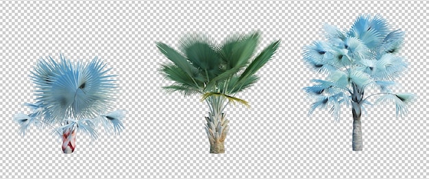 Lo sfondo del taglio isolato dell'albero di rendering 3D