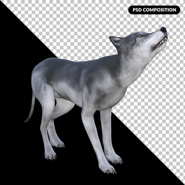 PSD lobo, aislado, 3d, interpretación