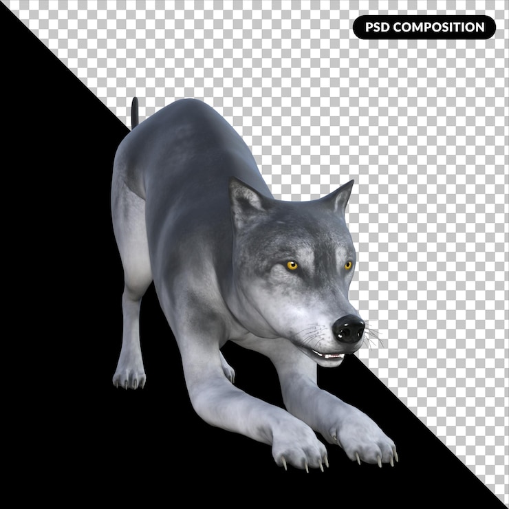 PSD lobo, aislado, 3d, interpretación